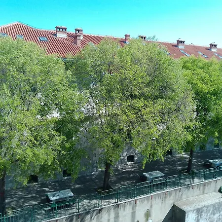 Pinky Life 斯普利特