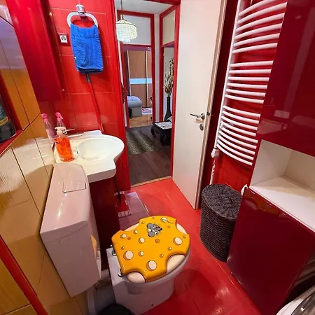 Pinky Life * 斯普利特